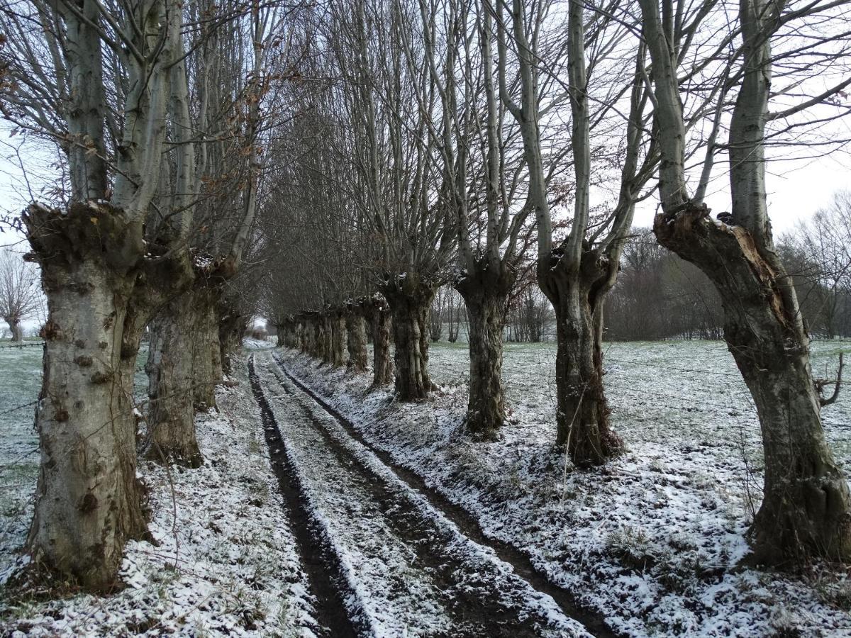 La Vannerie Origny-en-Thierache Kültér fotó